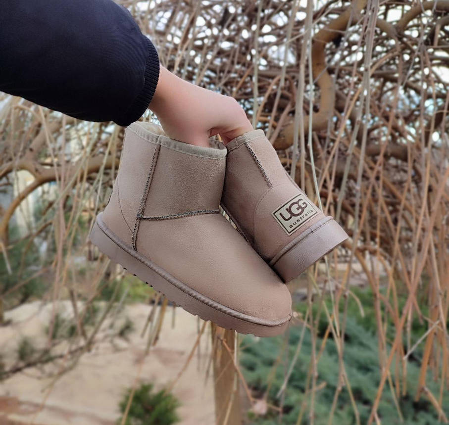 Угги UGG бежевые экозамшевые светлые короткие теплые зимние полусапожки ботиночки унисекс, фото 1