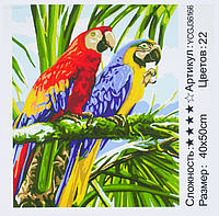 Картина за номерами YCGJ 36166 40х50 см, "Папуги", в коробці