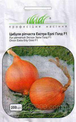 Насіння Лук ріпчастий озимовий Екстра Ерлі Голд F1, 200 насіння United Genetics, фото 1