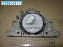 Сальник двигуна (вир-во Corteco) 20035843B UA60