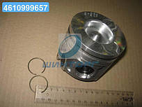 Поршень двигуна PEUGEOT DW 10 BTED (вир-во Mopart) 102-70191 02 UA60