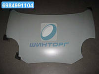 Капот CHERY QQ 03-13 (пр-во TEMPEST) 015 0102 280C UA60