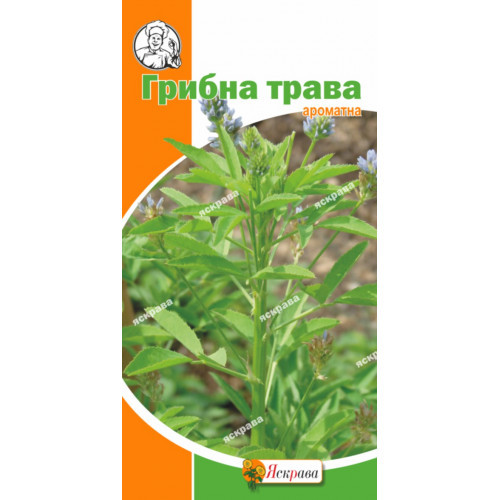 Грибна трава 1г Яскрава