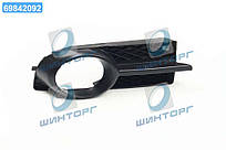 Решитка бамп. пра. CHEV AVEO T250 06- (вир-во TEMPEST) 016 0106 912 UA60