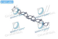 Прокладка впускного колектора HYUNDAI D4EA (вир-во PARTS-MALL) P1L-A041 UA60