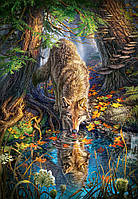 Пазлы Castorland "Волк в дремучем лесу" 1500 элементов 68 х 47 см С-151707
