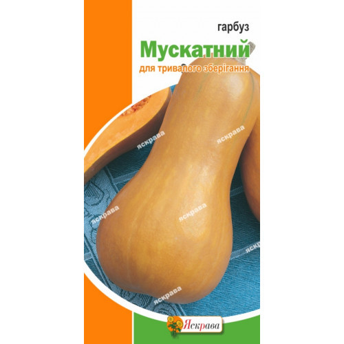 Гарбуз Мускатний 10г Яскрава