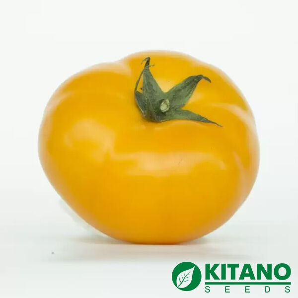 Помідор Нуксі F1 Kitano seeds 10 шт