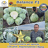 Надпотужний гібрид пізньої капусти Баланс F1/Balance F1, 2500 насіння, Spark Seeds (США), фото 6