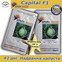 Капуста ультрарання Капітал F1, ТМ Spark seeds, США, проф.пакет 2500 насінин