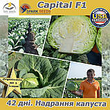 Капуста ультраранна Капітал F1 (Spark seeds, США), проф.пакет 2500 насіння, фото 9