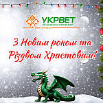 З Новим Роком та Різдвом Христовим!