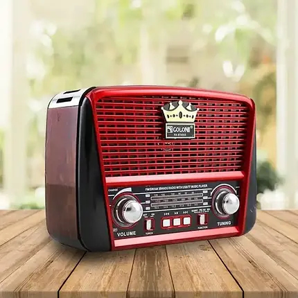 Радіо RX-BT455S Golon FM, ФМ приймач з флешкою, Переносний радіоприймач, фото 1