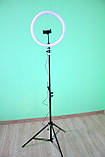 Кільцева лампа 33см зі штативом і пультом Набір блогера led кільце, фото 3