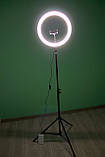 Кільцева лампа 33см зі штативом і пультом Набір блогера led кільце, фото 4