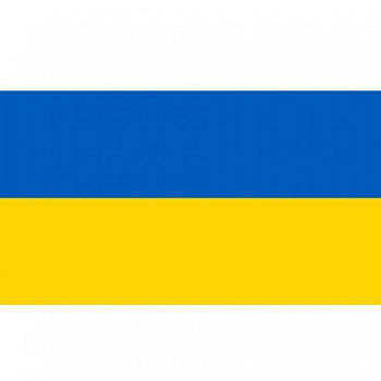 Прапор України, посилений 60213