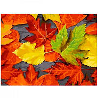 Картина по номерам Осенняя листва 632692/RA5153