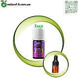 Суміш ефірних масел Спокуса Вівасан Швейцарія 1 мл, фото 2