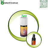 Гігея композиція масел Вівасан 1 мл, фото 2