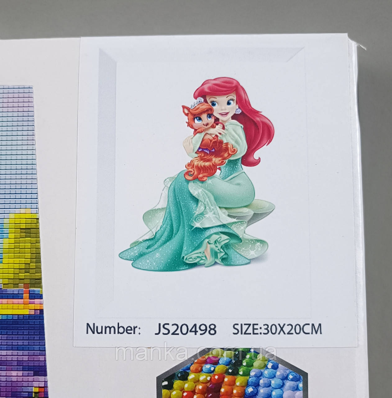 Алмазна мозаїка JS 20498 принцеса 30х20 см, в коробці - 6900066361579