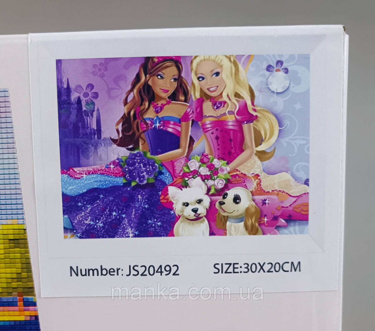 Алмазна мозаїка (JS 20492) 30х20 барді принцесі, фото 1