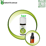 Ефірна олія Ялівець.Вівасан 1 мл швейцарська натуральна, фото 2