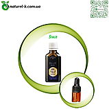 Суміш ефірних масел Блю Реліф Вівасан 1 мл, фото 2