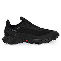 Мужские кроссовки SALOMON Alphacross 5 Gore-Tex (473075) 41 (26 см)