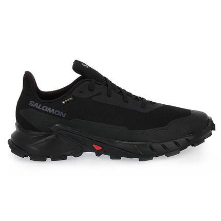 Чоловічі кросівки SALOMON Alphacross 5 Gore-Tex (473075), фото 1