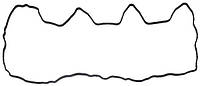 Прокладка клапаной крышки 04133138 двигателя Deutz/Дойц D 2,9 L4 / TD 2,9 L4 / TCD 2,9 L4