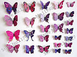 Декоративні 3D- метелики на магнітах, наклейки на стіну Фіолетовий колір 12 шт., фото 6
