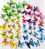 Декоративні 3D- метелики на магнітах, наклейки на стіну/Пернята на холодильник Жовтий колір 12 шт., фото 4
