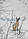 Зимовий костюм Norfin Hunting Trapper Passion -20 °C (для полювання, риболовлі та туризму), фото 5
