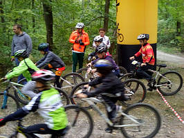 Шалені місточки