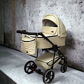 Коляска 2 в 1 Baby Pram Bailey