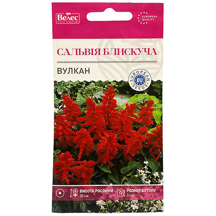 Насіння шавлії (сальвії) "Вулкан" (0,2 г) від ТМ "Велес", Україна, фото 1