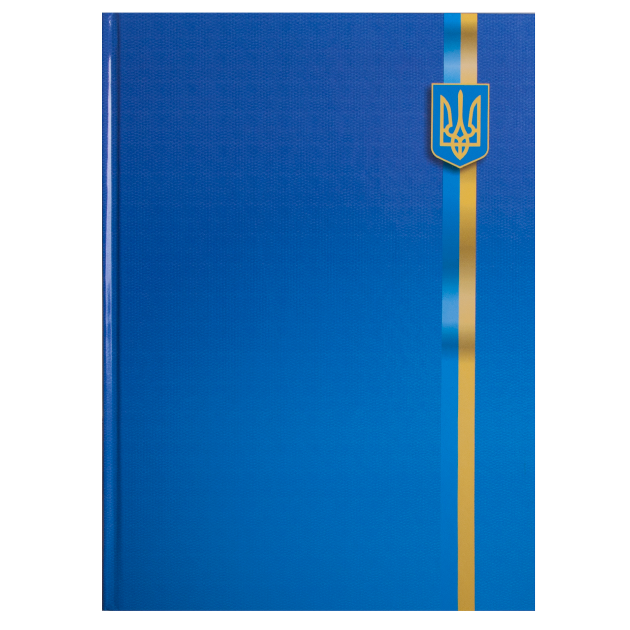 Книга обліку Buromax 1 шт, А4 96 арк, клітинка (BM.2400-38), фото 1