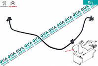 Патрубок / шланг системы охлаждения ( трубка от радиатора к расширительному бачку ) 1323S6 Citroen / СИТРОЭН