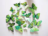 Декоративні 3D- метелики на магнітах, наклейки на стіну/Пернята на холодильник Зелений колір 12 шт., фото 4