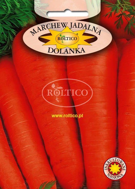 Насіння моркви Долянка 20г ТМ ROLTICO