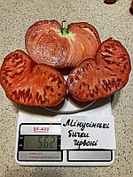 Насіння томату Мінусінські бички червоні, Колекційні насіння помідорів , Семена томатов