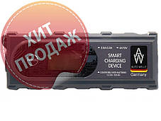 Інтелектуальний зарядний пристрій AUTO WELLE 05-1204