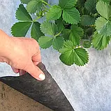 Агроволокно Agreen чорно-біле щільність 50 (1.07м х 100м), фото 4