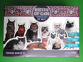 Набір магнітів. Breeds of cats / Породи котів. Magdum