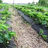 Агроволокно Agreen чорне щільність 50 ЕASY-CARRY ROLLS (3,2х25), фото 6
