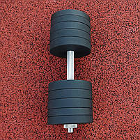 Гантеля набірна 48 кг металева з покриттям, фото 2