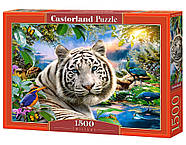 Пазли Castorland 1500 елементів "Білий тигр" (C-151318), фото 2