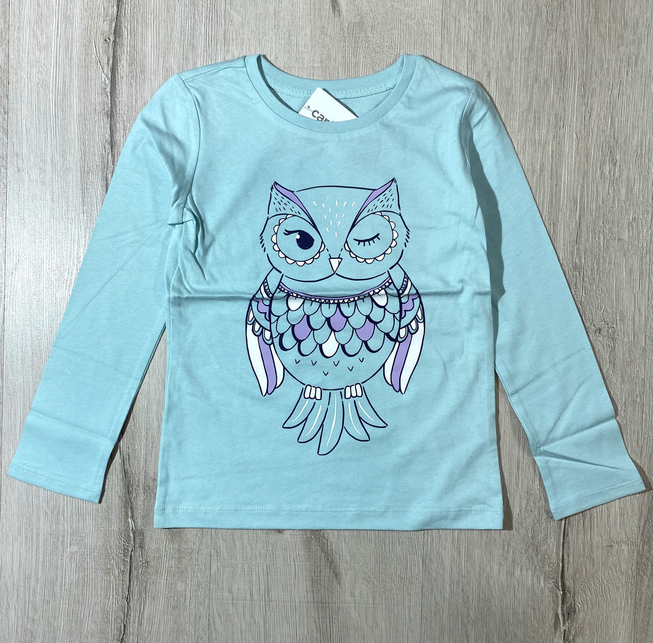 Реглан для дівчинки Carters 293G248 110 см Бірюзовий