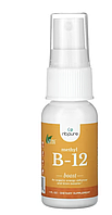 NB Pure, метил B12 у формі спрею, метилкобаламін, зміцнення, 30 мл (1 рідка унція)