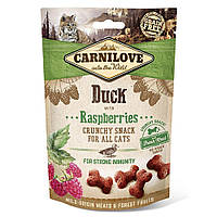 Лакомство для кошек Carnilove Duck with Raspberries 50 г (для иммунитета) b